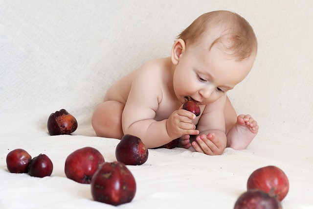 Baby eating plum