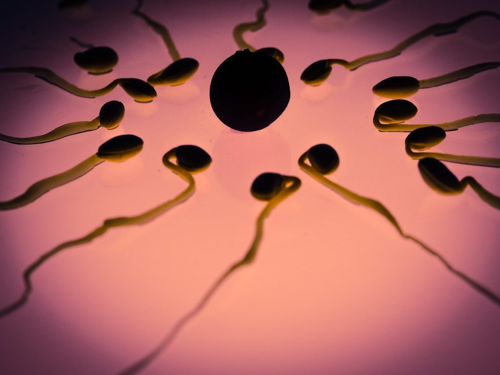 Artificial Insemination