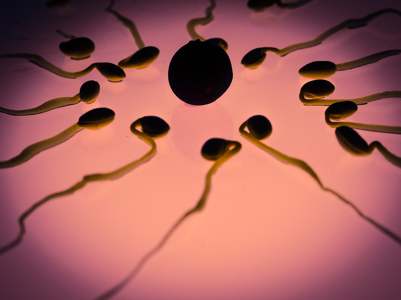 What is Artificial Insemination?